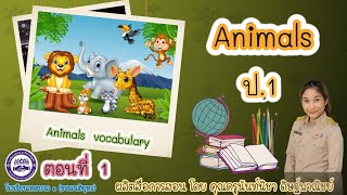 วิชาภาษาอังกฤษ ป. 1 : Animals vocabulary ตอนที่ 1