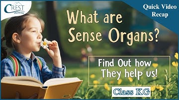 Class KG | My Body Parts and Sense Organs | Science Olympiad | CREST Olympiads