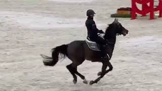 Madagascar Dwerse Hagen 10Th Oliva Nova 1.45 Ranking Cl