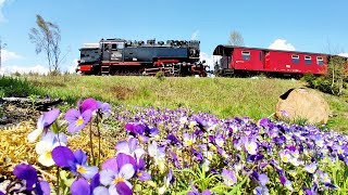 Dampfloks im Harz - Frühling an der Brockenbahn by steinerne_ renne 1,144 views 11 months ago 25 minutes