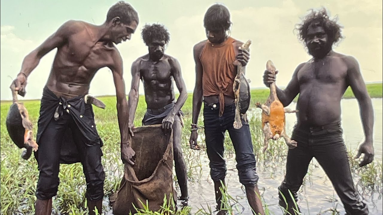 ABORIGINAL HUNTING AND FOOD GATHERING BEYOND THE DALY RIVER NORTHERN TERRITORY 1976