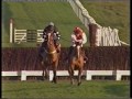1997 Doubleprint Novices Chase 