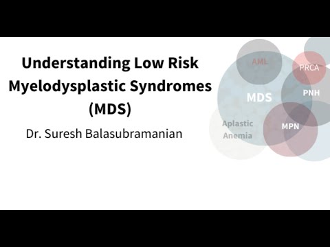 Understanding Low Risk