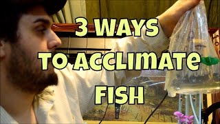 How to Acclimate New Fish in the Aquarium | 3 Different Methods of Safely Acclimating Fish