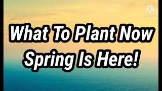 Planting Schedule: The First Week Of Spring(with spreadsheet)