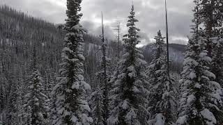 Bitterroot Valley HD