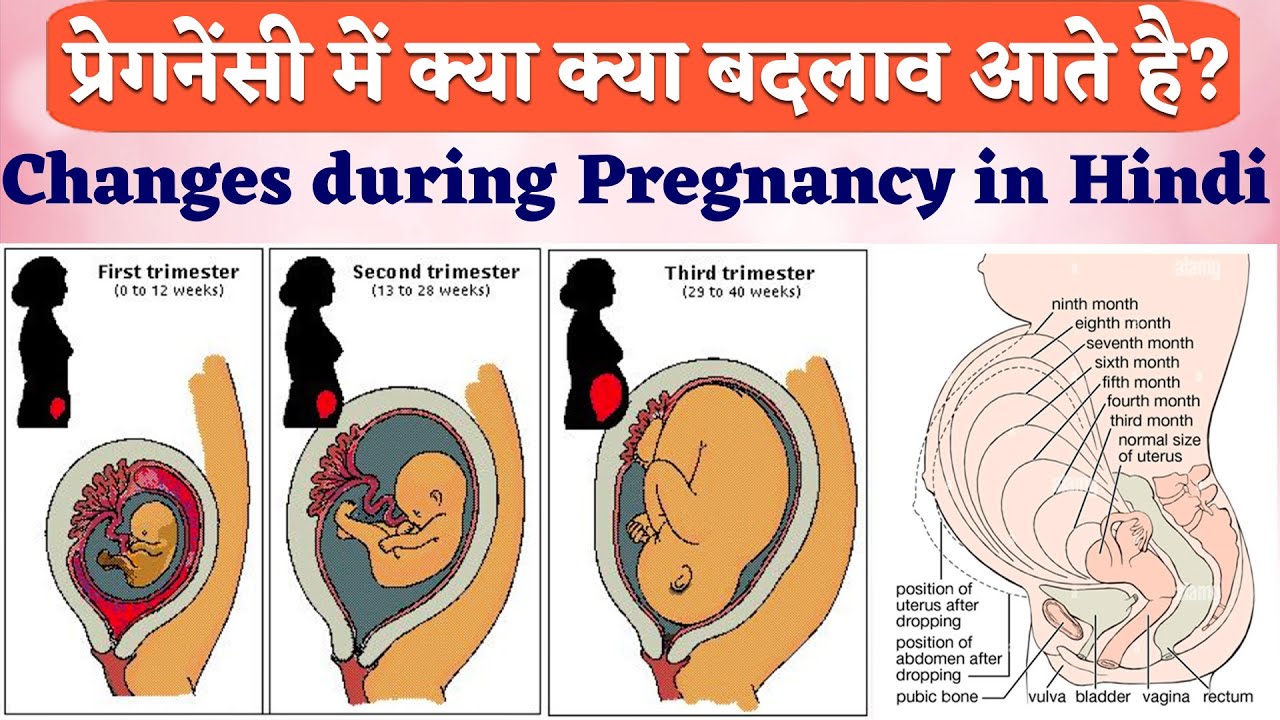 Pregnancy me kya kya badlav aata hai | Changes during Pregnancy in Hindi #pregnancycare - YouTube