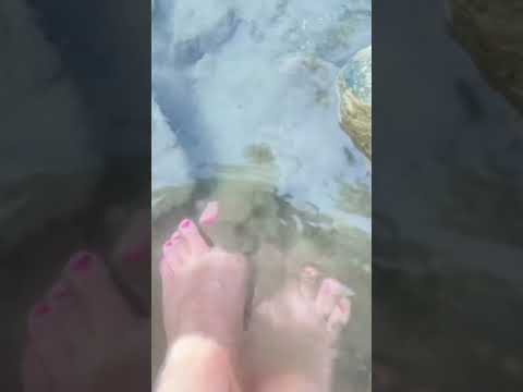 Feet ASMR #feetcommunity #feetmatter