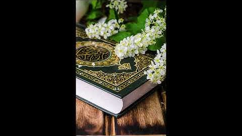 سورة الجن مكررة 11 ساعة بصوت فارس عباد