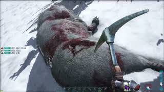 ARK: Survival Evolved - Taming the Fearsome Direwolf! Unleashing the Power of the Arctic Predator! screenshot 5