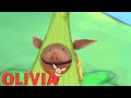 Olivia the Pig | Olivia and the School Concert | Olivia Full Episodes