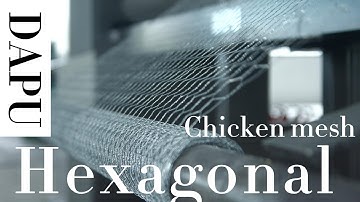 China best hexagonal wire netting machine for chicken cage