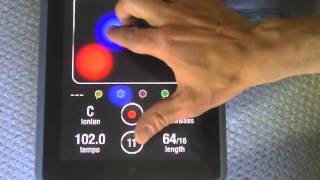 02 iKaossilator Create New Loop screenshot 4