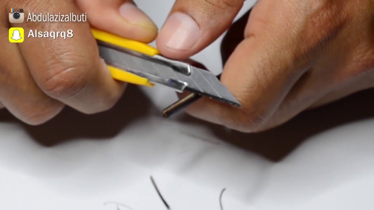 قط قلم جاوي