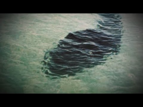 5 Mysterious Sea Creatures Caught On Camera & Spotted In Real Life!