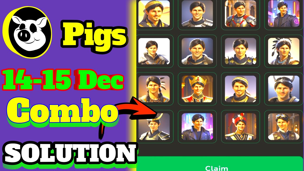 Pigs house daily combo code|pigs house intelligent investment code|Pigs ...