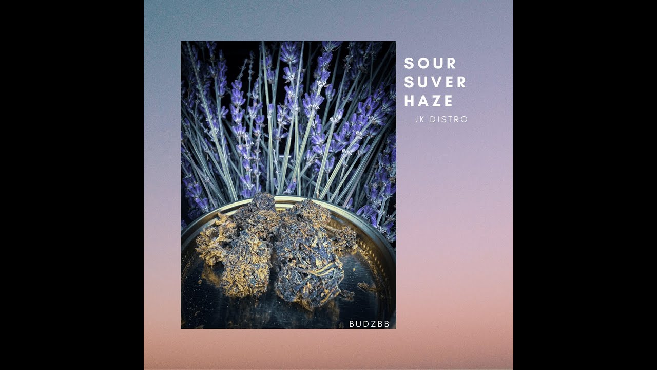 Twitch Live Cannabis Review: Sour Suver Haze D8 flower [JK DISTRO]