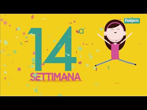 Video: 14 Settimane Di Gravidanza