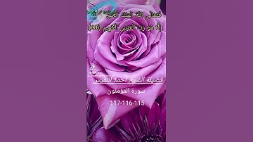 #فضيلة الشيخ أحمد النفيس #سورة  المؤمنون # أفحسبتم انما خلقناكم  عبثا#