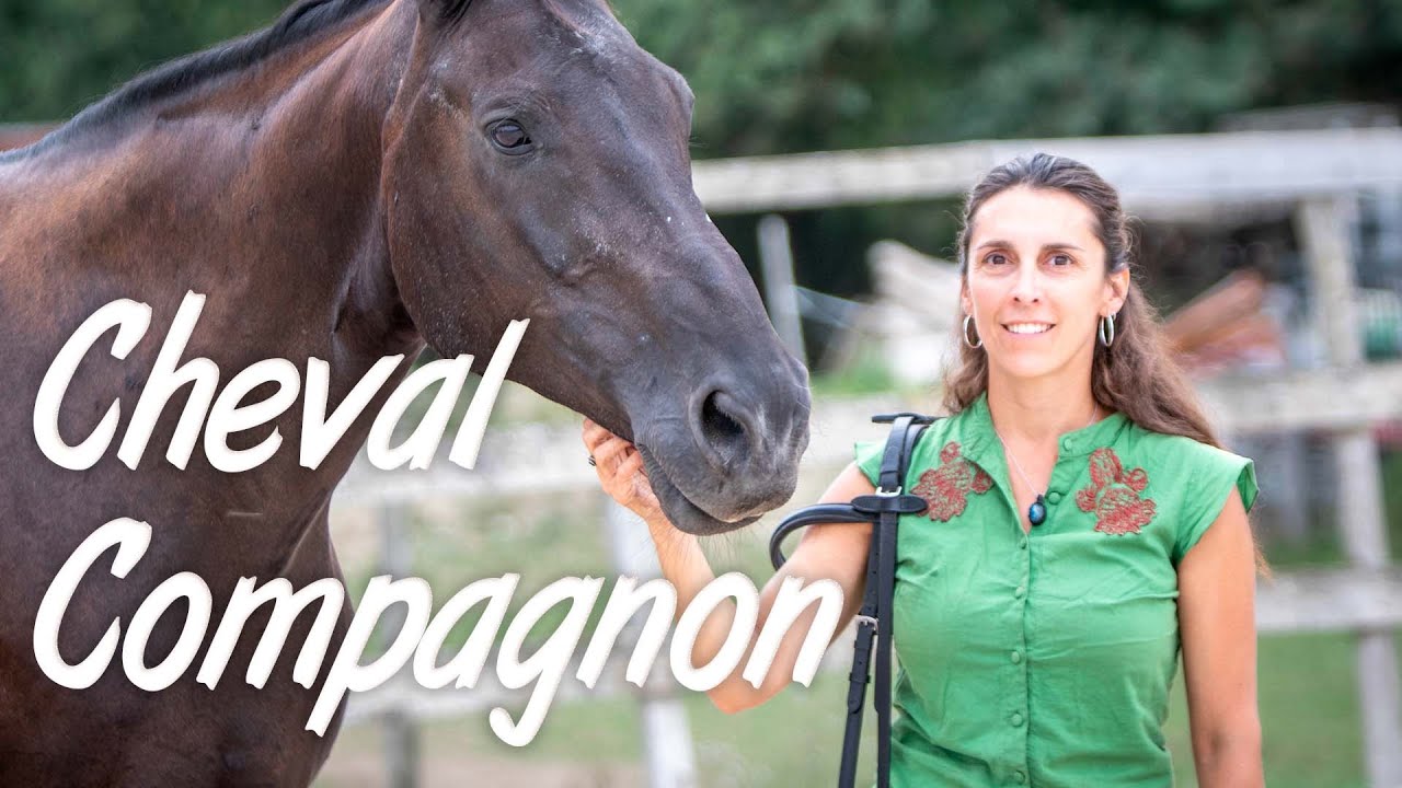 1ère année de formation professionnelle d’équipédagogue Akita avec Charlotte (Bretagne)