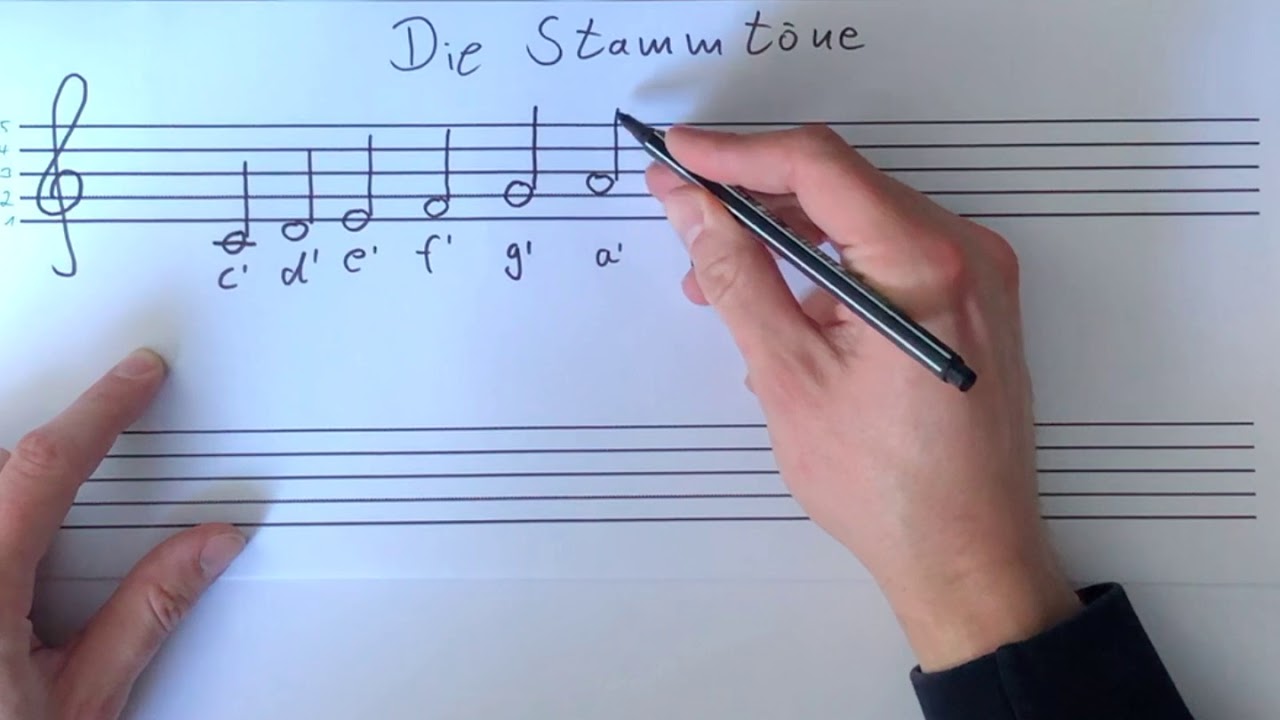 Stammtöne