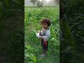 First Time Drone Flying by Kids || DJI Mini 3 #shorts #djimini3pro #drone