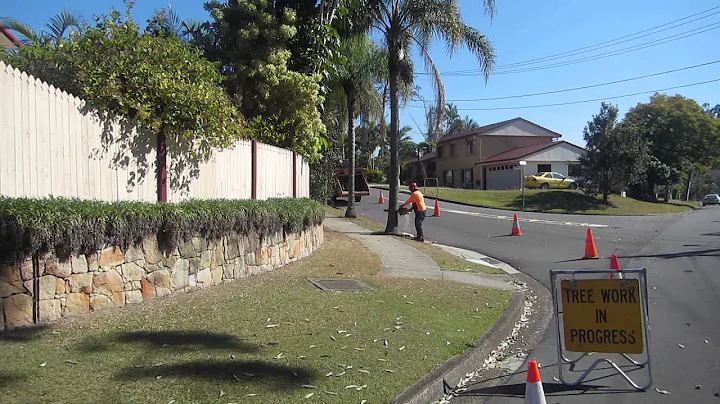 Tree felling www.greenworktre...