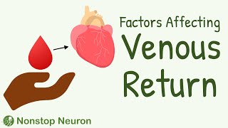 What Sends Blood Back to Heart? Factors Affecting Venous Return | Muscle Pump, Respiratory Pump etc.