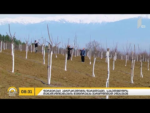 აგროკრედიტის ფარგლებში, სახელმწიფოს თანადაფინანსების შემცირებას, ფერმერები უარყოფითად აფასებენ