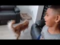 Genezila is dogzila