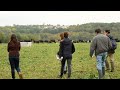 Voyage de dcouverte de llevage laitier bovin en normandie