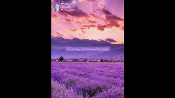 قل إنما أنا بشر مثلكم يوحى إلي} تلاوة القرآن الكريم خاشعة 🕋 #القرأن_الكريم #اسلام_صبحي 🌙 سورة الكهف