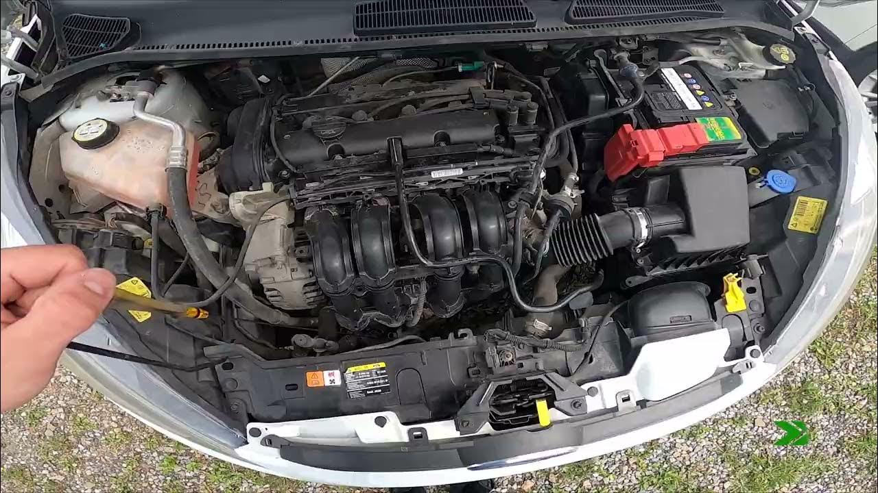 Where is Engine Oil Level Dipstick in Ford Fiesta VII ( 2008 – 2017