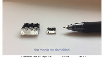 Toward Soft Micro Bio Robots for Cellular and Chemical Delivery