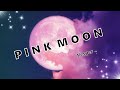 Pink Moon - Vesper (original)