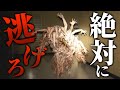 隠しステージにいた化け物に大絶叫が止まらない！【Backrooms:Escape Together】
