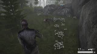 Vigor - Those aren't flowers