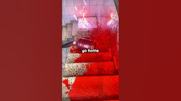 What split-second decision changed your life? 🥰😭