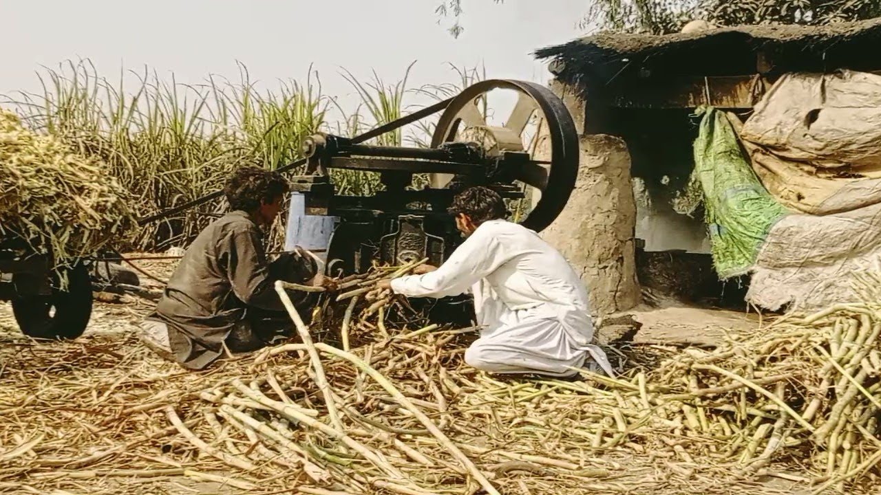 Crazy but Real! Shocking Sugarcane Juice Process 🤯