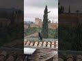 Who needs a tour guide when you got the Alhambra cat?