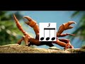 Crab Rave but it&#39;s a swing/triplet version
