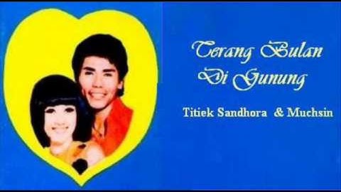 Terang Bulan Di Gunung - MUCHSIN    ( P