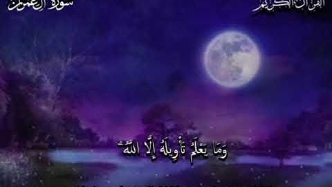 ماتيسر من القرآن الكريم🌸من سورة آل عمران🍃🌸_تلاوة هادئة تريح القلب🎧❤️‍🩹_القارئ الشيخ عبد الرحمن مسعد