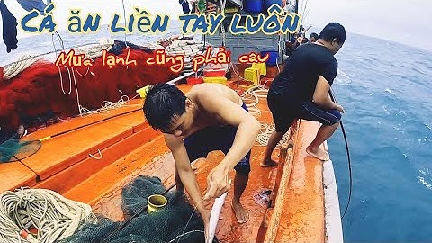 Nhiều loại cá ngon ăn câu, ngư dân bất chấp trời mưa gió | Đánh cá 2024 - Tập56 | Sóng biển Hứa Đông