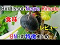 イチジク Bordissot Negra Rimadaの収穫と食味レビュー 3年間育てて感じた品種の特徴まとめ