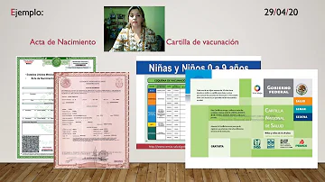 ¿Cuál es la finalidad de los documentos oficiales?