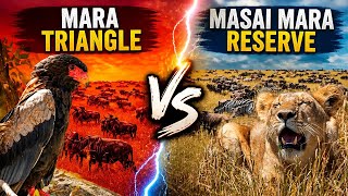 Mara Triangle vs Masai Mara National Reserve | Great Wildebeest Migration Tips | Kenya Safari Guide