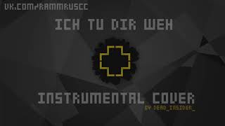 Rammstein - Ich Tu Dir Weh (instrumental cover) [Live Version]