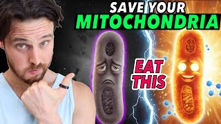 Leucine | The Amino Acid Behind Mitochondria Health & Longevity
