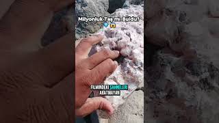 Milyonluk Taş mı Buldu? 😱